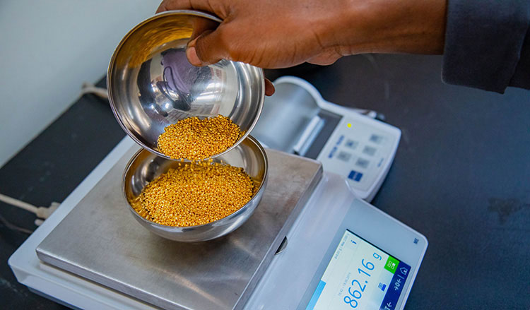 Gold Refinery